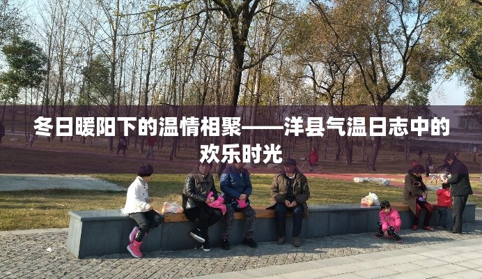 冬日暖陽下的溫情相聚——洋縣氣溫日志中的歡樂聚會時光