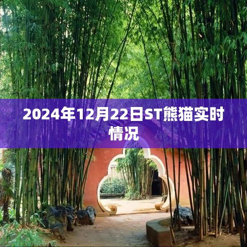 ST熊貓實時動態，最新消息與走勢分析