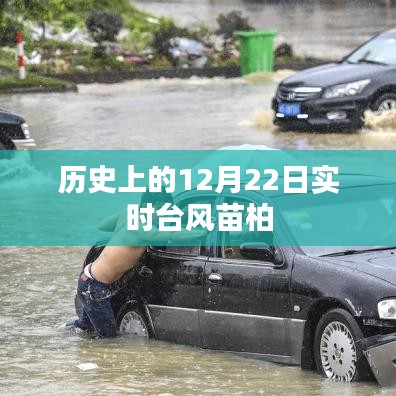 實時臺風苗柏歷史記錄，12月22日情況概述