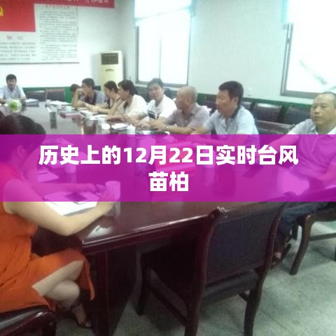 實時臺風苗柏歷史記錄,12月22日情況概述