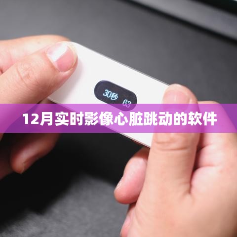 實時影像心臟跳動軟件,追蹤心跳新體驗