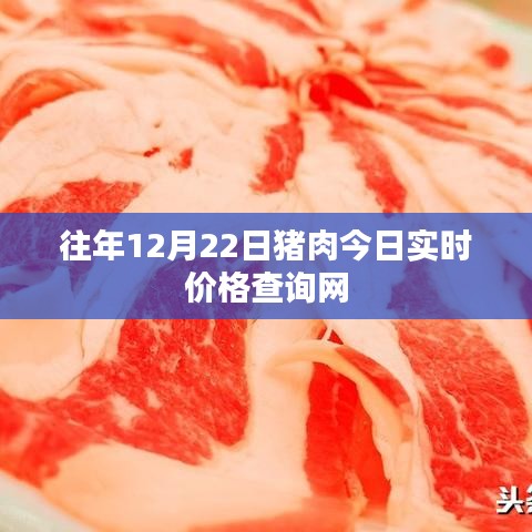 最新豬肉實時價格查詢網(wǎng),今日更新