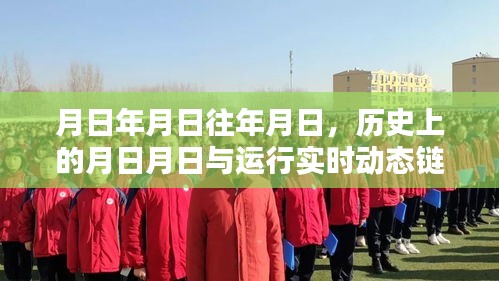 月日年月日歷史動態鏈接猜測,歲月流轉與運行實時關聯探索