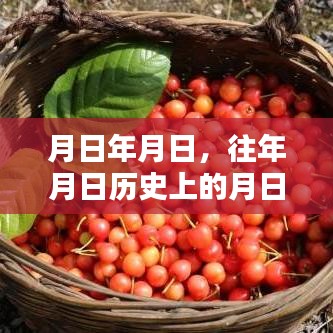 微信實時位置查詢軟件的興起與歷史的交匯點