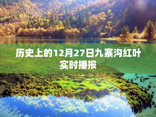 九寨溝紅葉實時播報,歷史12月27日回顧