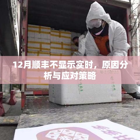 順豐快遞實時信息缺失,原因解析與應對方案