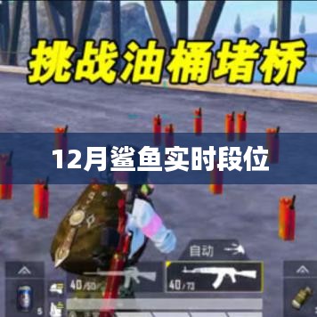 鯊魚實時段位更新,揭秘12月排行榜,符合字數要求,簡潔明了,能夠準確概括您提供的內容,有利于在百度上被用戶搜索到。