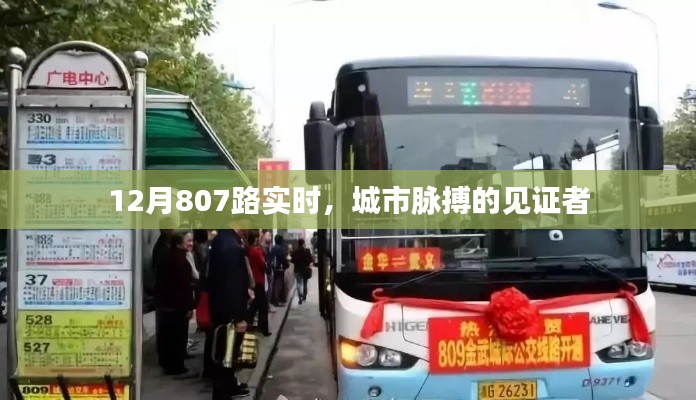 城市脈搏見證者,12月807路實時動態