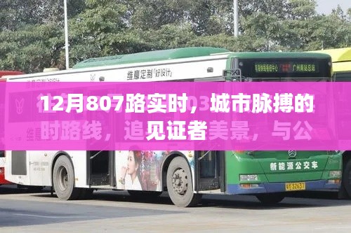 城市脈搏見證者,12月807路實(shí)時動態(tài)