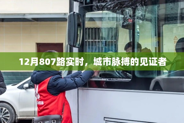城市脈搏見證者,12月807路實(shí)時動態(tài)