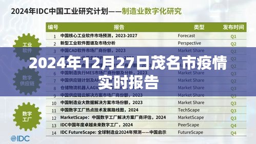 茂名市疫情實時報告,最新數(shù)據(jù)及分析(日期,XXXX年XX月XX日)