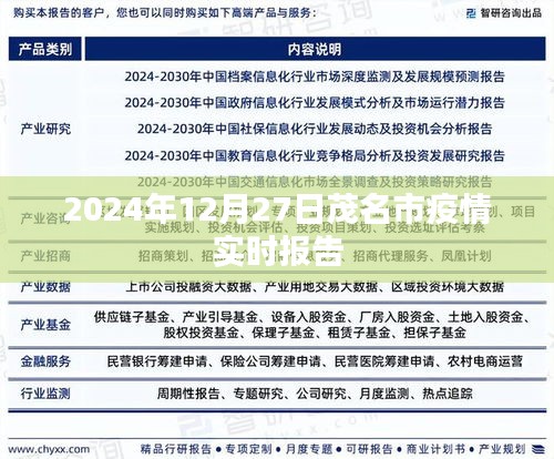 茂名市疫情實時報告,最新數(shù)據(jù)及分析(日期,XXXX年XX月XX日)