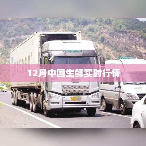 中國生鮮市場十二月行情實時更新