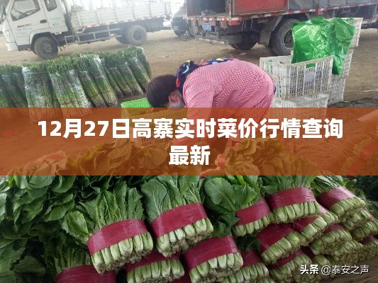 高寨實(shí)時菜價行情更新,最新查詢結(jié)果