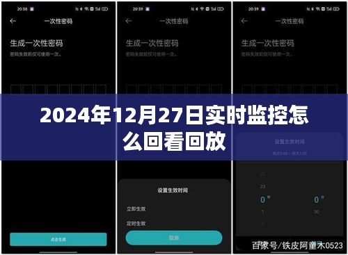 2024年12月27日實時監控回放查看指南
