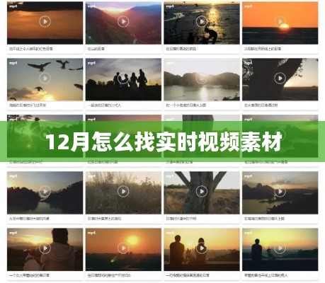 12月實時視頻素材獲取攻略