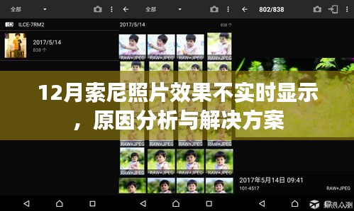 索尼照片效果不實時顯示，原因解析與解決方案