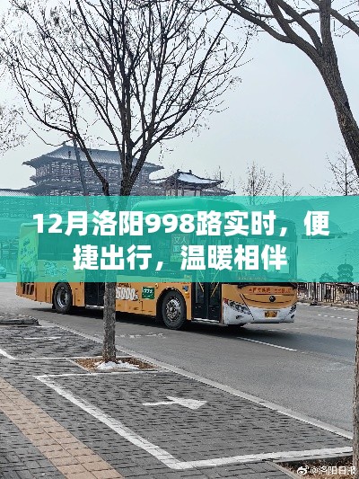 洛陽公交998路,冬季出行首選,實時查詢,溫暖相伴