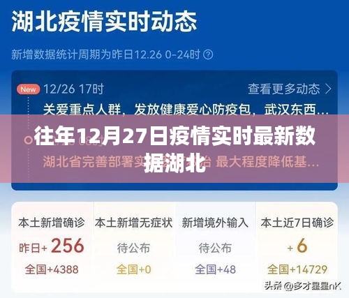 湖北疫情實時最新數據(往年12月27日動態)