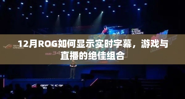 ROG實時字幕顯示,游戲與直播的絕佳搭檔,12月操作指南