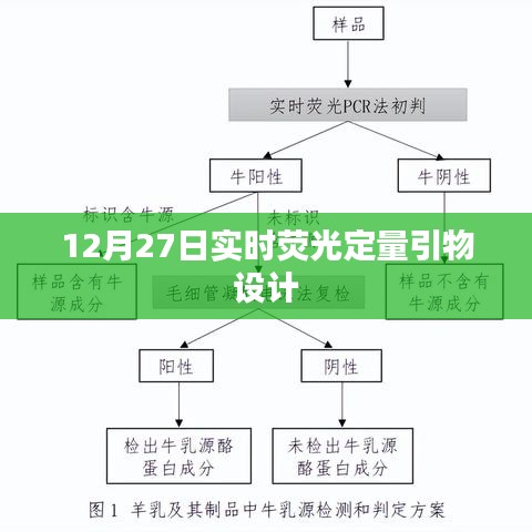 實時熒光定量PCR引物設計技術解析