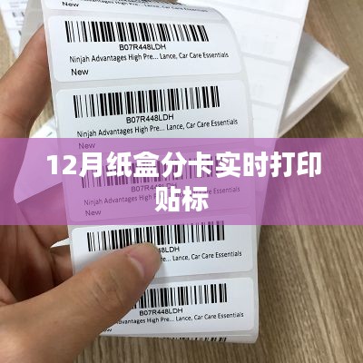 實(shí)時(shí)打印貼標(biāo)紙盒分卡系統(tǒng)(附教程)