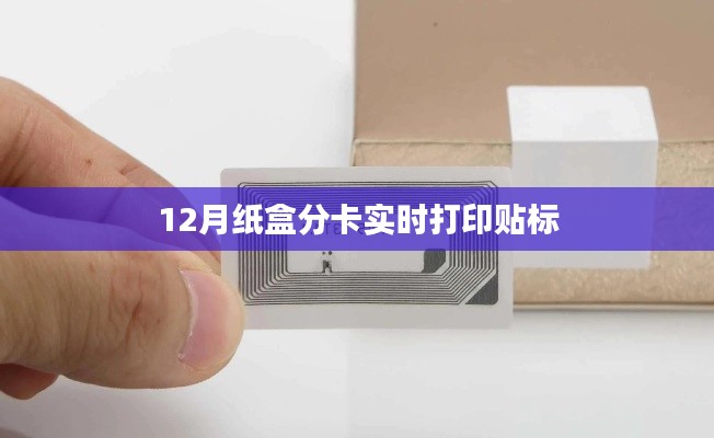 實(shí)時(shí)打印貼標(biāo)紙盒分卡系統(tǒng)(附教程)