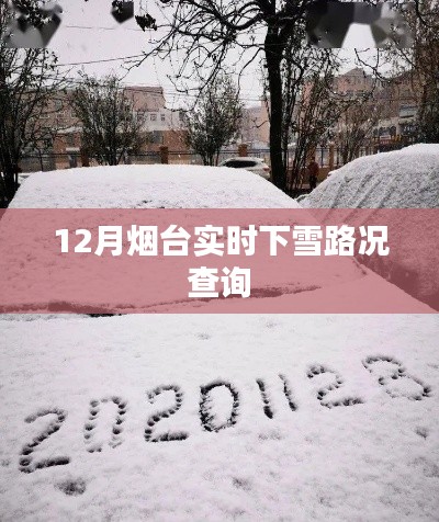 煙臺實時下雪路況查詢(最新更新)