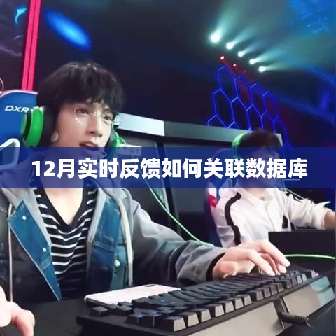 實(shí)時(shí)反饋與數(shù)據(jù)庫關(guān)聯(lián)之道,12月操作指南