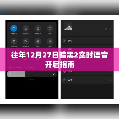 暗黑2實(shí)時(shí)語(yǔ)音開(kāi)啟指南,往年12月27日操作指南