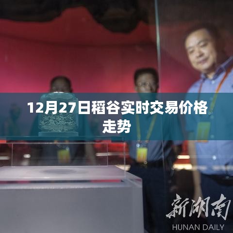 稻谷實時交易價格走勢分析（最新動態）