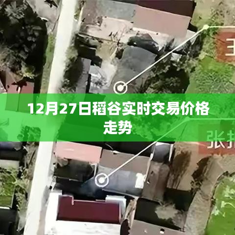 稻谷實時交易價格走勢分析(最新動態)