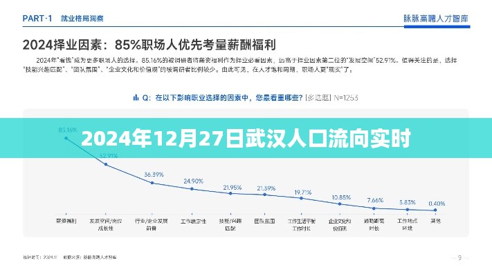 武漢人口實時流向數據(2024年12月27日)