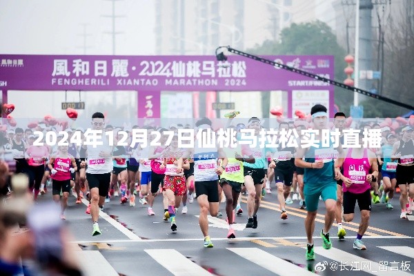 仙桃馬拉松直播,奔跑在2024年冬日的賽道上