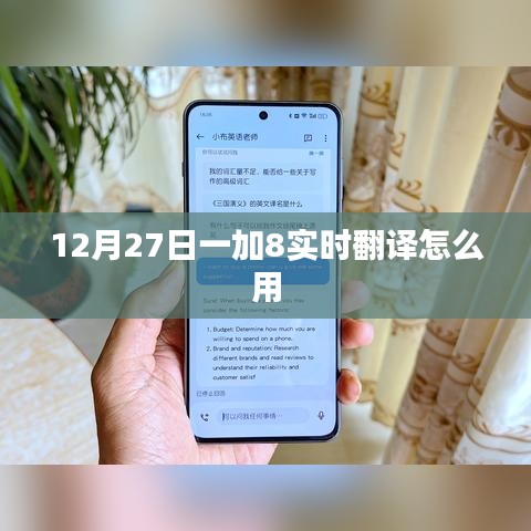 一加8實時翻譯功能使用指南,12月27日更新