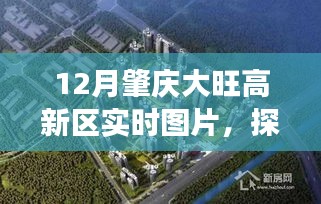 肇慶大旺高新區活力與創新,最新實時圖片分享