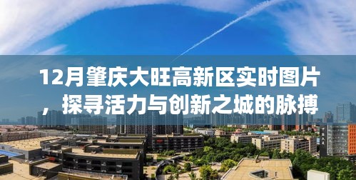 肇慶大旺高新區(qū)活力與創(chuàng)新,最新實(shí)時(shí)圖片分享