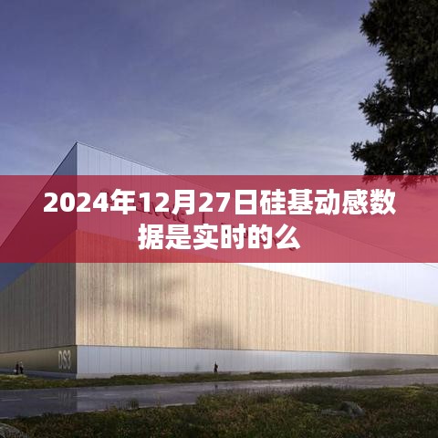 硅基動感數據實時性探討,2024年12月27日數據準確性分析
