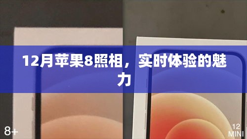 蘋果8實時照相體驗,12月新魅力