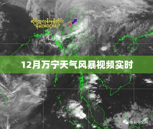 萬寧風(fēng)暴來襲,最新天氣實時視頻