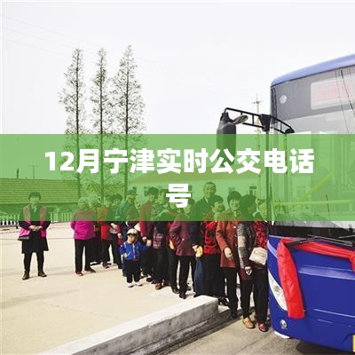 寧津?qū)崟r(shí)公交電話查詢,最新公交熱線號(hào)碼通知