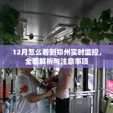 鄭州實時監控解析,如何查看與注意事項(十二月版)