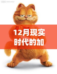 現實版加菲貓圖片集,溫馨可愛瞬間捕捉