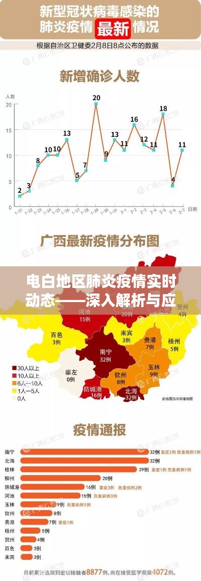 電白地區肺炎疫情最新動態,解析與應對策略