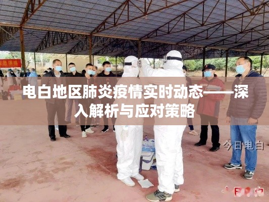 電白地區(qū)肺炎疫情最新動(dòng)態(tài),解析與應(yīng)對(duì)策略