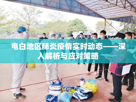 電白地區肺炎疫情最新動態,解析與應對策略