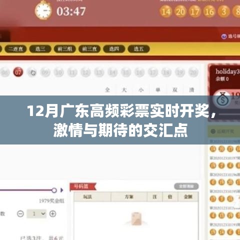 廣東高頻彩票12月實時開獎,激情碰撞期待時刻