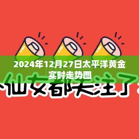2024年12月27日太平洋黃金行情走勢分析