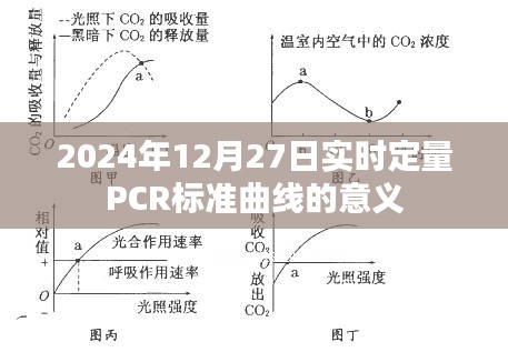 實時定量PCR標準曲線意義解析,助力精準診斷與科研應用