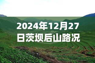 茨壩后山路況實時更新,查詢表及指南